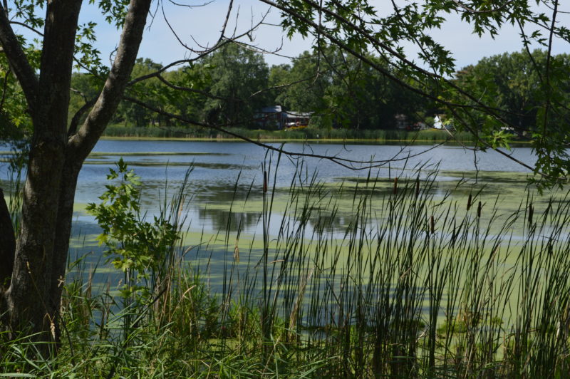 Wakefield Lake RamseyWashington Metro Watershed District